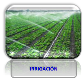 irrigacion